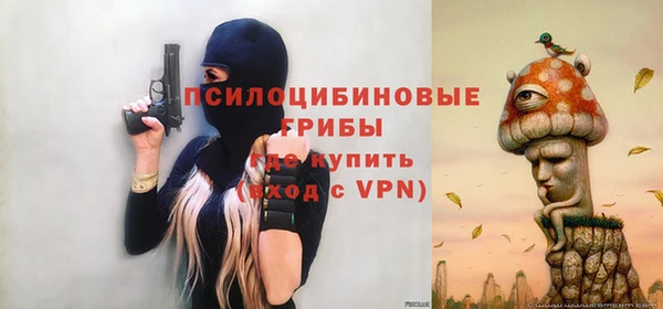Альфа ПВП Алексин