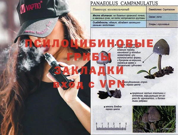 а пвп мука Абинск
