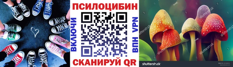 даркнет сайт  Дмитровск  Псилоцибиновые грибы Magic Shrooms 